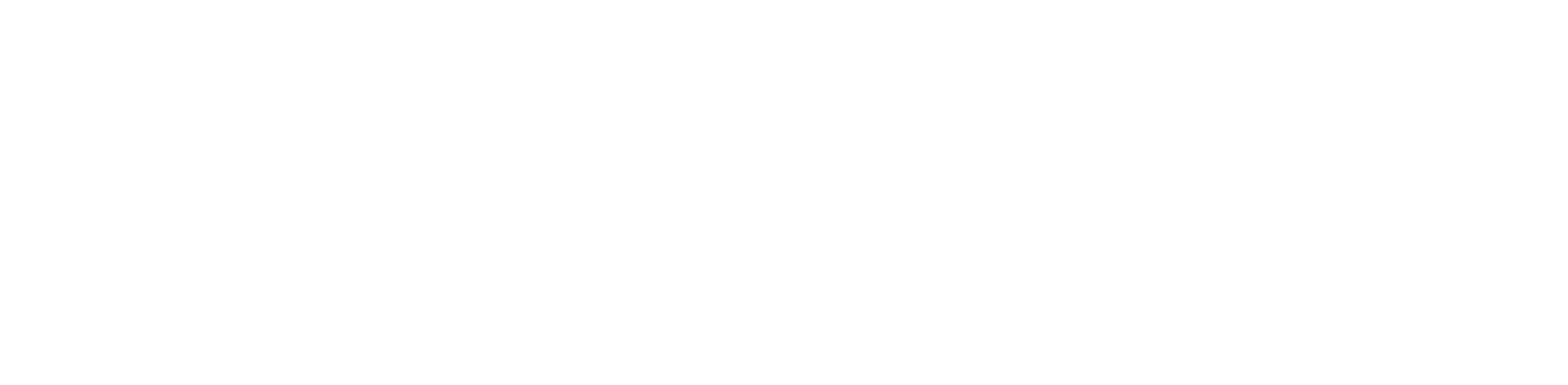 LOGO P3_branco